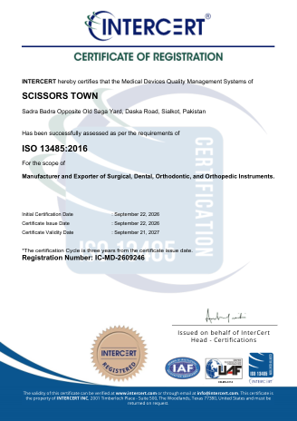 ISO 13485:2016 - InterCert document preview