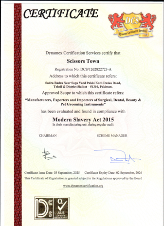 Modern Slavery Act document preview